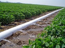 9" x 10 mil x 1320' polypipe lay-flat irrigation tubing