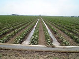 10" x 9 mil x 1320' polypipe lay-flat irrigation tubing