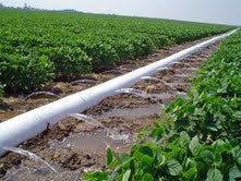 7" x 7 mil x 1320' polypipe lay-flat irrigation tubing